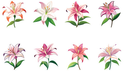 set of pink lilies