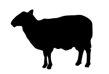 Farm Sheep Silhouette