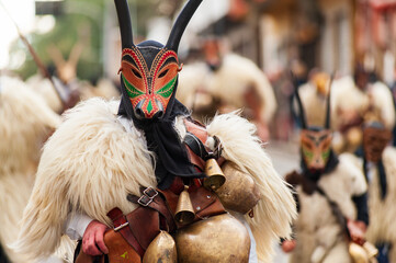 Typical carnival Boes e Merdules parade, Ottana, Sardinia, Italy