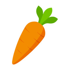 carrot vector illustration isolated on transparent background