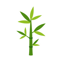 bamboo illustration isolated on transparent background