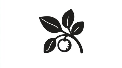 Simple black and white berry branch illustration