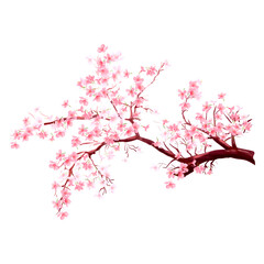 Sakura on white background. Digital cherry tree. Cherry blossom flower blooming. Pink sakura flower background. Beautiful sakura flower petals flying on white background. Flowers for wedding.