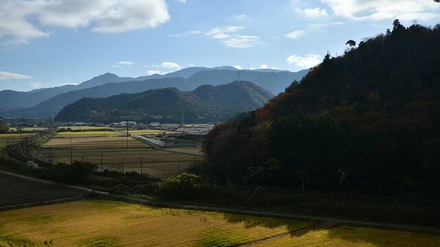 秋の近江路を走る311系普通列車 （東海道本線 米原 - 醒ヶ井, 2024年12月）