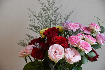 カラフルな薔薇