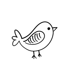 cute birds forest animal
