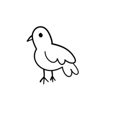 cute birds forest animal
