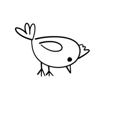 cute birds forest animal
