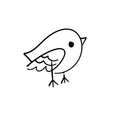 cute birds forest animal
