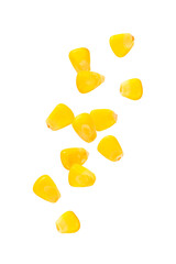 Falling corn seeds isolated on white background.