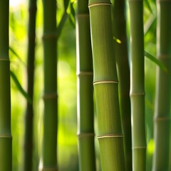Obraz premium Professional image of bamboo in an eco-friendly Asian landscape
