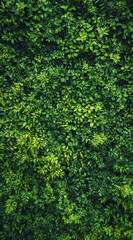 Obraz premium Green environmentally friendly and low-carbon lifestyle