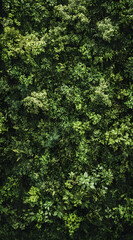 Green environmentally friendly and low-carbon lifestyle