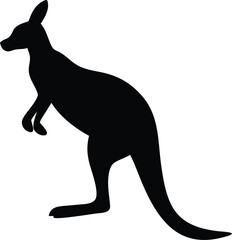 kangaroo vector illustration