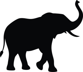 elephant isolated on white background