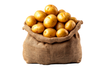 Burlap sack of potatoes isolated on transparent background