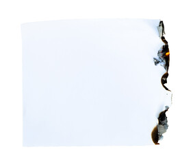 Blank white paper with burnt edges isolated on white background