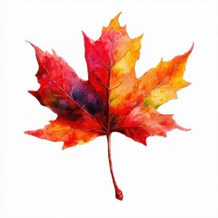Fototapeta premium Vibrant Watercolor Illustration of a Maple Leaf in Autumn Colors