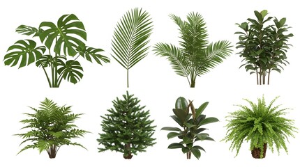 Collection of Lush Green Tropical and Evergreen Plants High-Resolution Images for Design Projects