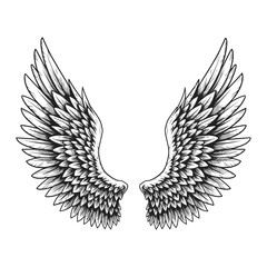 Wings vector – Elegant Black and White Angel Wings Illustration – Detailed Feathered Wings