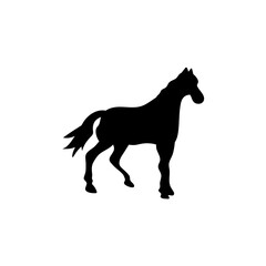 Horse collection vector silhouette

