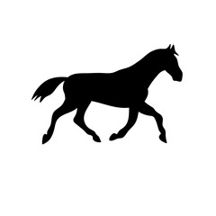 Fototapeta premium Horse collection vector silhouette 