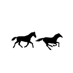Horse collection vector silhouette
