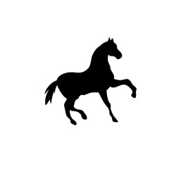 Horse collection vector silhouette
