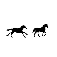 Horse collection vector silhouette
