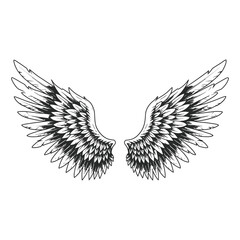 Wings vector – Elegant Black and White Angel Wings Illustration – Detailed Feathered Wings