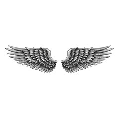Obraz premium wings isolated on white – Wings vector – Elegant Black and White Angel Wings Illustration – Detailed Feathered Wings
