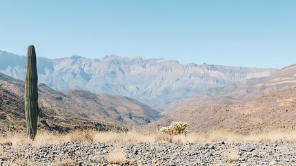 A tall green cactus stands near desert mountains under a blue sky