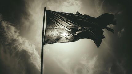 Black Flag: A symbol of rebellion and defiance, often linked to anarchism or pirates, representing resistance and the rejection of authority.
