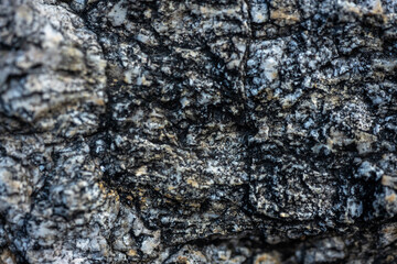 Gneiss Rock Close Up In Sabino Canyon
