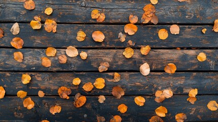 Naklejka premium Many colorful fallen leaves rest upon weathered dark wooden boards