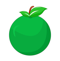 lime vector illustration