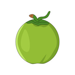 vector illustration of an coconut