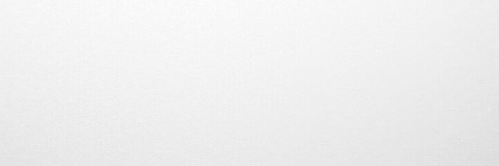 Clean, smooth white canvas; slight grain visible , pure, bright