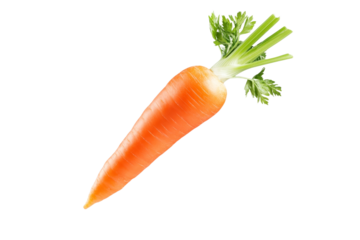Carrot is shown with its green top still attached, isolated