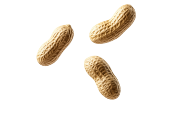 Three peanuts are shown in the air, with one of them being the largest, isolated