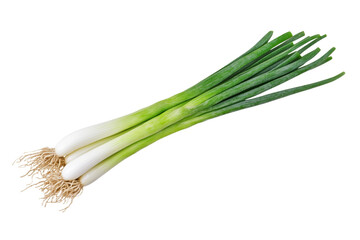 Bunch of green onions with white stems, isolated