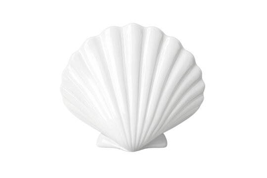 White shell with a white base, isolated