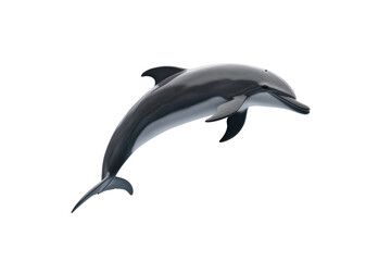 Fototapeta premium Black and white dolphin is flying through the air, isolated