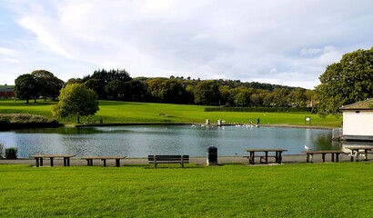 Pond in the park 