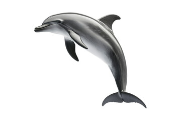 Fototapeta premium Dolphin is leaping out of the water, isolated