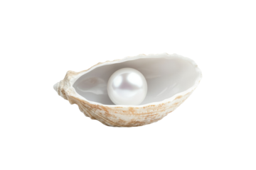 Pearl is sitting in the center of a shell, isolated