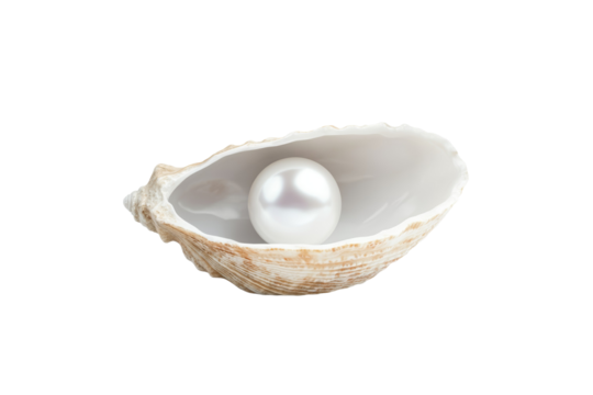 Pearl is sitting in the center of a shell, isolated