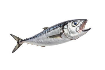 Naklejka premium Fish is shown in the air with its mouth open, isolated