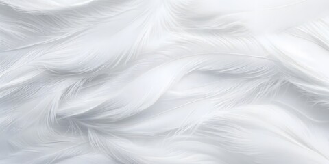 Fototapeta premium White feather fluffy texture