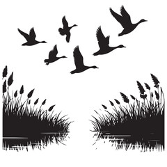 Silhouette Flying Ducks over Wetland with Marsh Grass Vector Art